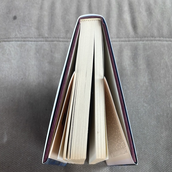 A Trick of the Light (A Chief Inspector Gamache Novel) - Louise Penny. First Ed. - Picture 11 of 11